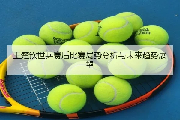 王楚钦世乒赛后比赛局势分析与未来趋势展望